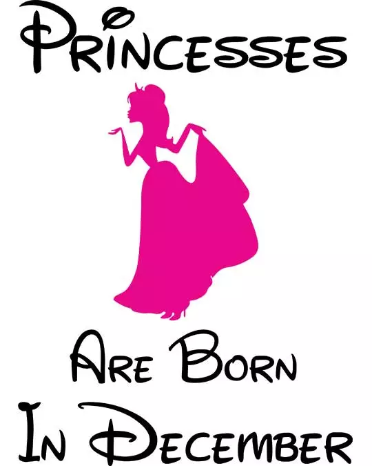 Disney Princesses are Born in December Women's T-shirt